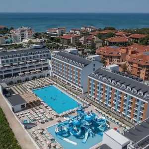 book here